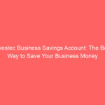 Investec Business Savings Account: The Best Way to Save Your Business Money